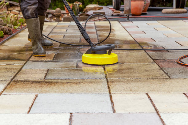 Best Animal Enclosure Cleaning  in Capitol View, SC