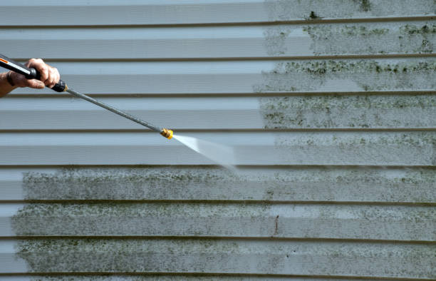 Best Building Exterior Washing  in Capitol View, SC